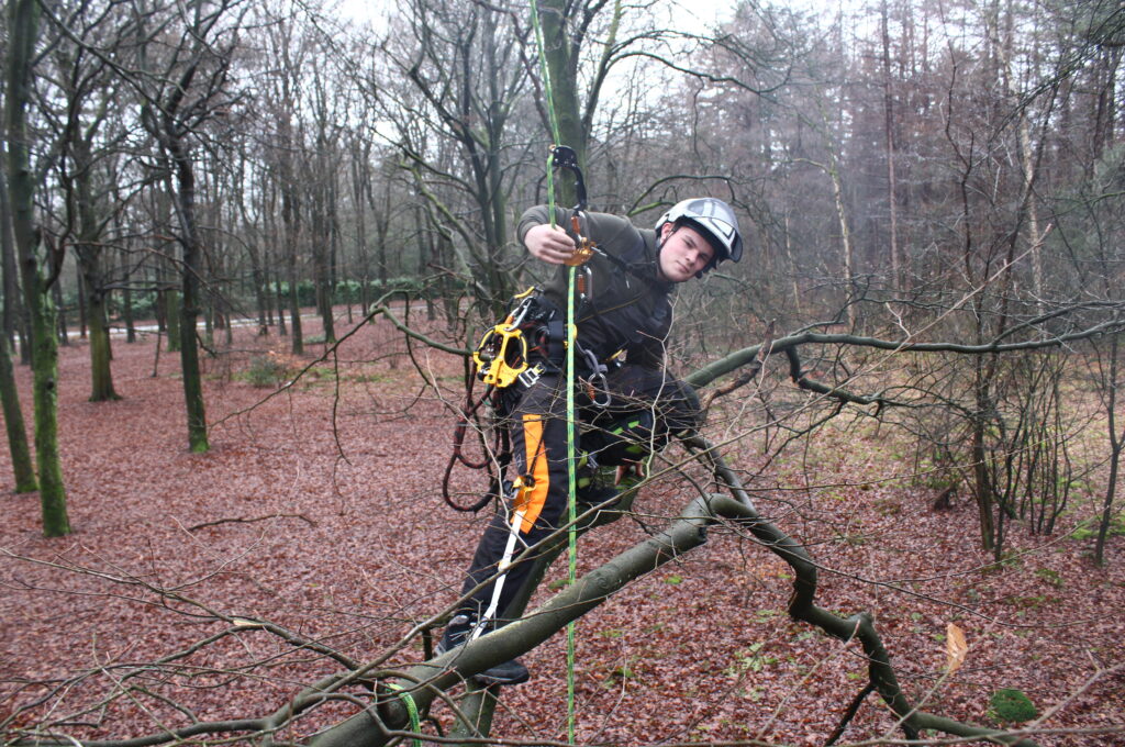 Corstian Mudde Boomverzorging