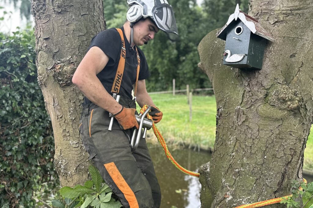 Bekijk deze afbeelding op Elenbaas boombverzorging