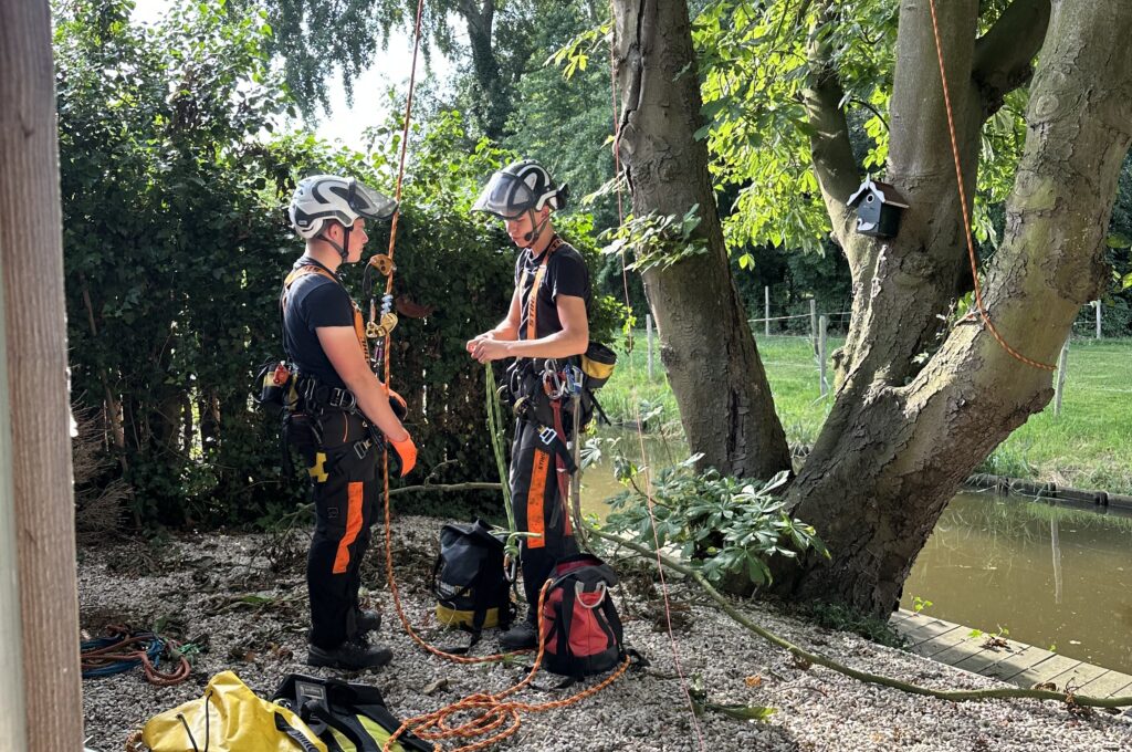 Bekijk deze afbeelding op Elenbaas boombverzorging