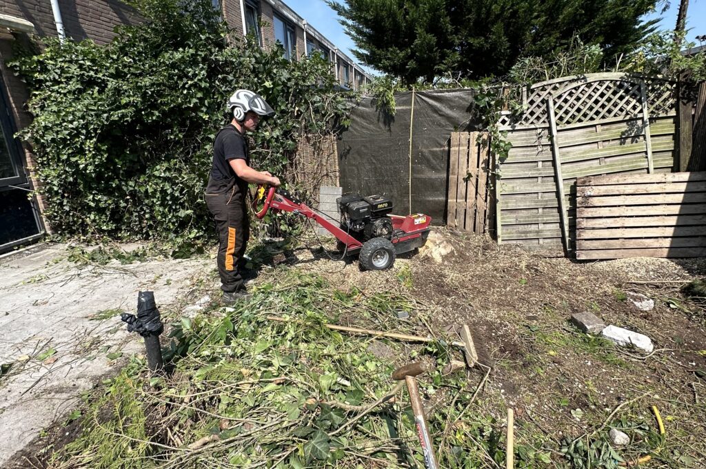 Boom stronk verwijderen Rotterdam