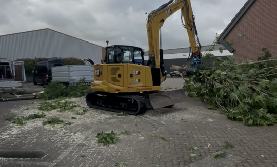Foto van de blog Bomen kappen Gouderak van Elenbaas boombverzorging