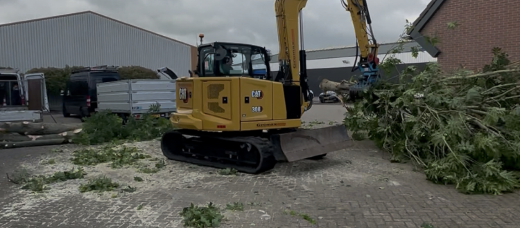 Ga verder naar de blog Bomen kappen Gouderak van Elenbaas boomverzorging